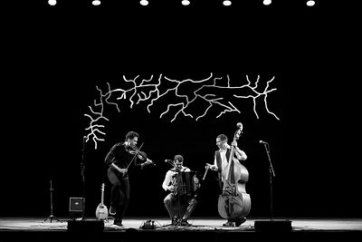 20170707 Schrammelklang @ Litschau c2017 Stephan Mussil 010 sw.jpg