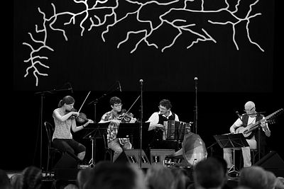 20170708 Schrammelklang @ Litschau c2017 Stephan Mussil 075 sw.jpg