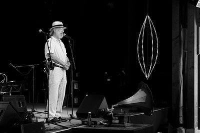 20170708 Schrammelklang @ Litschau c2017 Stephan Mussil 082 sw.jpg