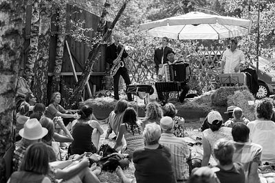 20170708 Schrammelklang @ Litschau c2017 Stephan Mussil 123 sw.jpg