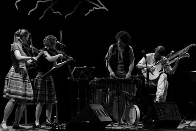 20170708 Schrammelklang @ Litschau c2017 Stephan Mussil 175 sw.jpg