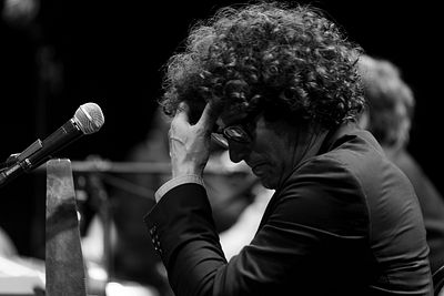 20170708 Schrammelklang @ Litschau c2017 Stephan Mussil 204 sw.jpg