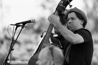 20170709 Schrammelklang @ Litschau c2017 Stephan Mussil 235 sw.jpg