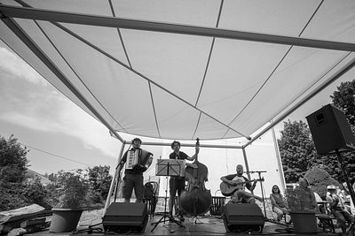 20170709 Schrammelklang @ Litschau c2017 Stephan Mussil 241 sw.jpg