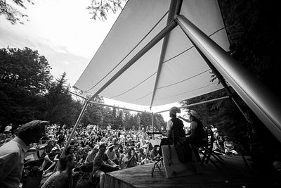 20170709 Schrammelklang @ Litschau c2017 Stephan Mussil 256 sw.jpg