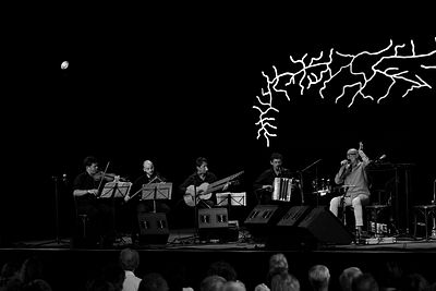 20170709 Schrammelklang @ Litschau c2017 Stephan Mussil 296 sw.jpg