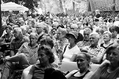 20170709 Schrammelklang @ Litschau c2017 Stephan Mussil 332 sw.jpg