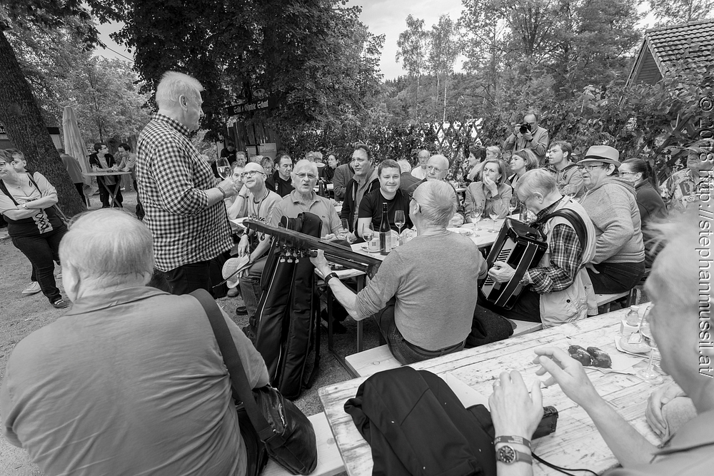 20180706 schrammelklang @ litschau c2018 www.StephanMussil.at 003 2.2K.jpg