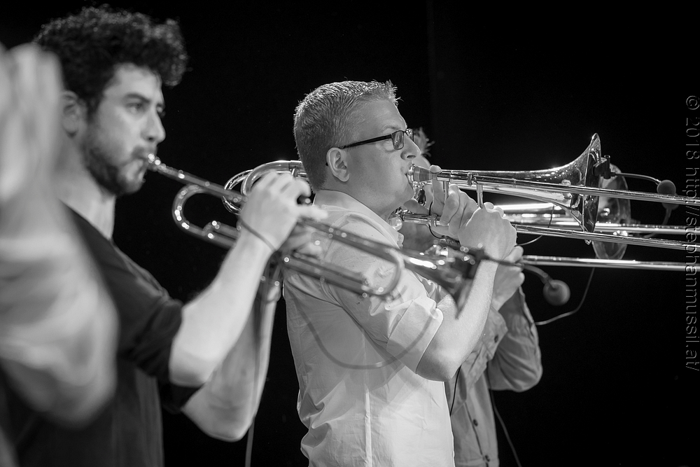 20180706 schrammelklang @ litschau c2018 www.StephanMussil.at 032 2.2K.jpg