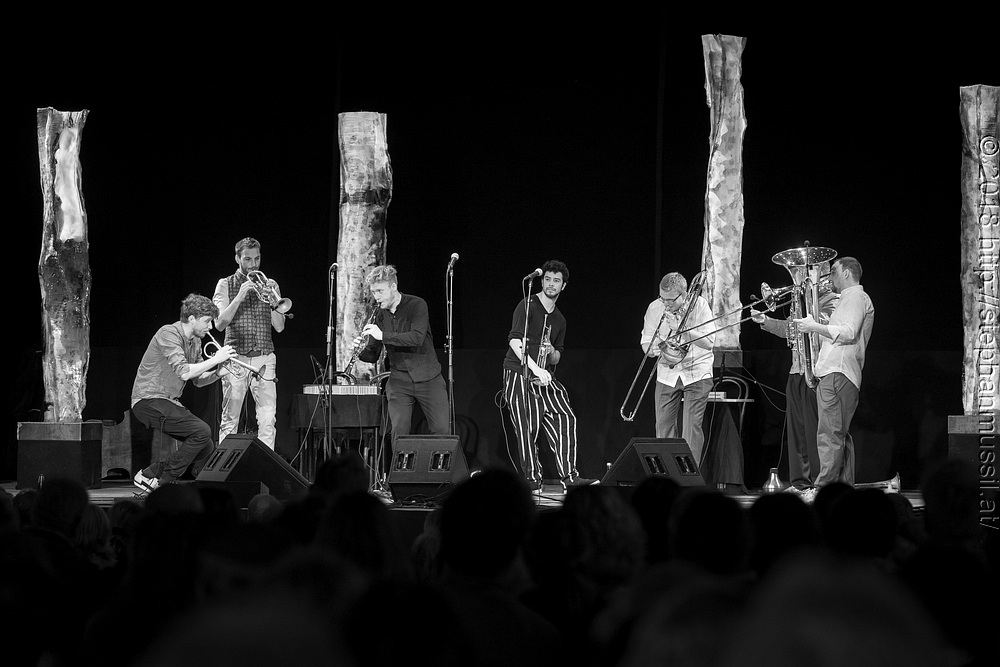 20180706 schrammelklang @ litschau c2018 www.StephanMussil.at 034 2.2K.jpg
