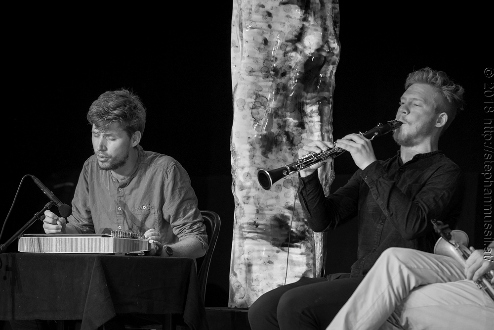 20180706 schrammelklang @ litschau c2018 www.StephanMussil.at 036 2.2K.jpg
