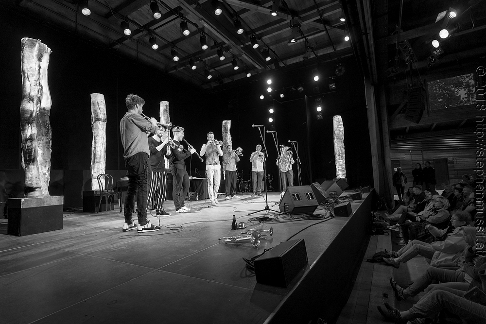 20180706 schrammelklang @ litschau c2018 www.StephanMussil.at 047 2.2K.jpg