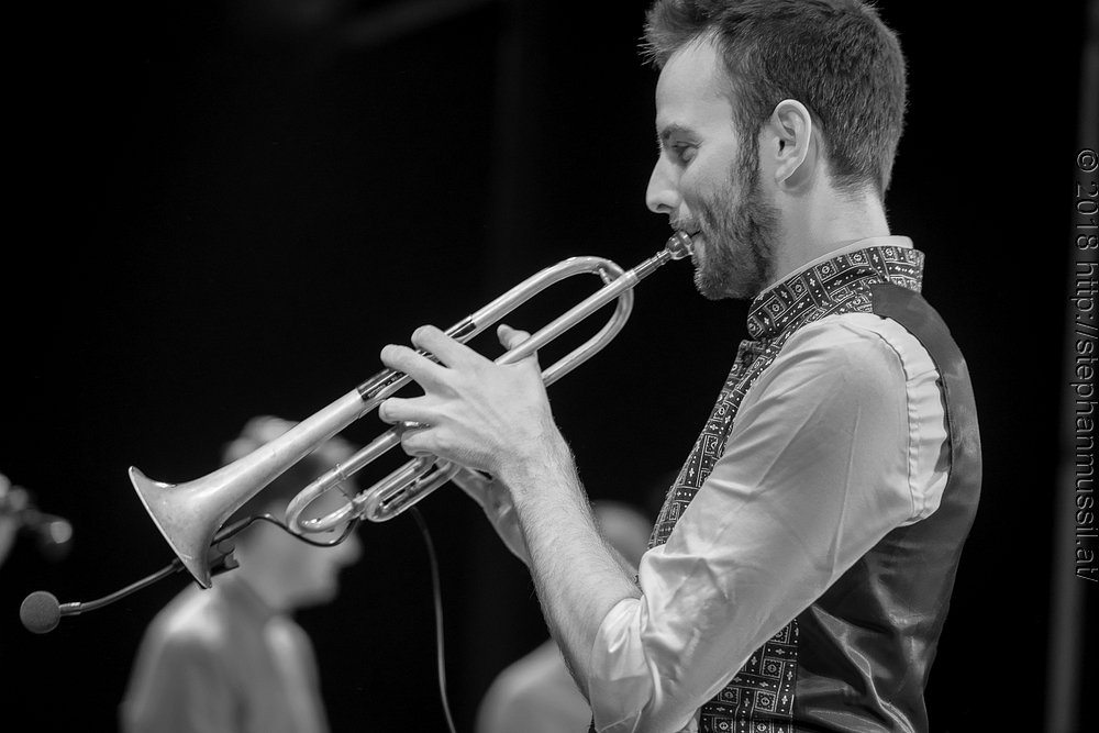 20180706 schrammelklang @ litschau c2018 www.StephanMussil.at 049 2.2K.jpg