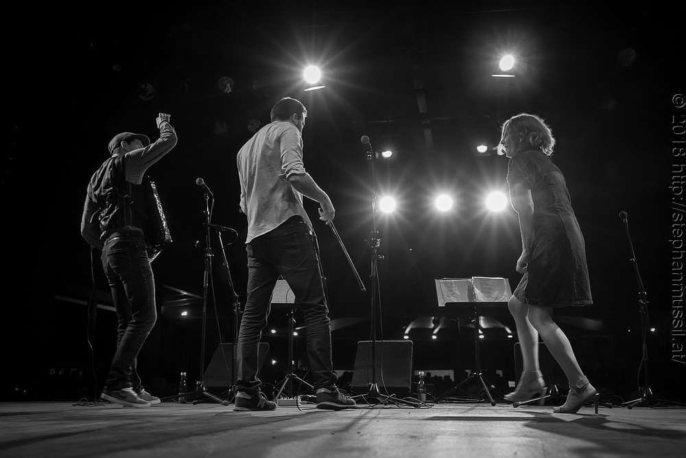 20180706 schrammelklang @ litschau c2018 www.StephanMussil.at 066 2.2K.jpg