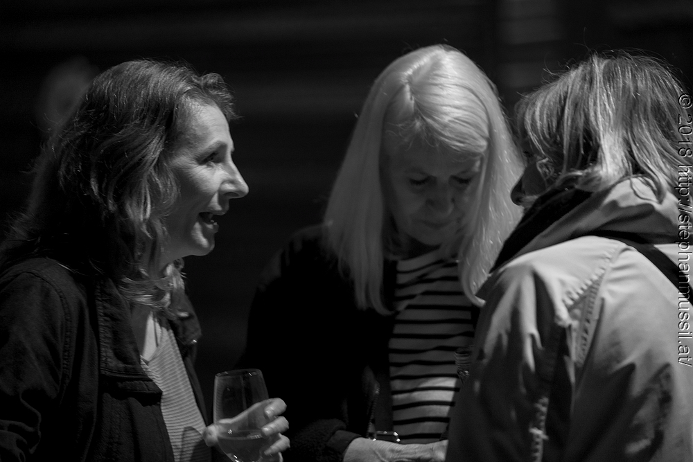 20180706 schrammelklang @ litschau c2018 www.StephanMussil.at 080 2.2K.jpg
