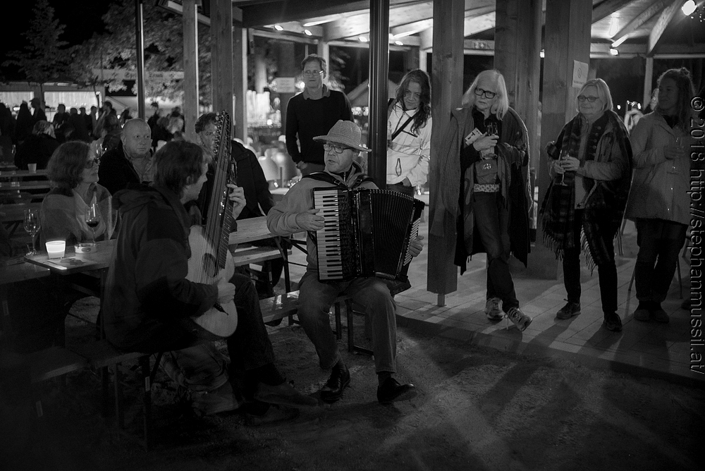 20180707 schrammelklang @ litschau c2018 www.StephanMussil.at 099 2.2K.jpg