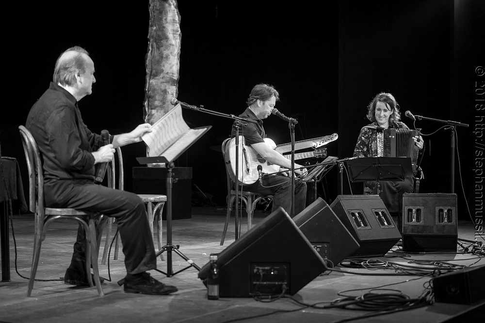 20180707 schrammelklang @ litschau c2018 www.StephanMussil.at 117 2.2K.jpg