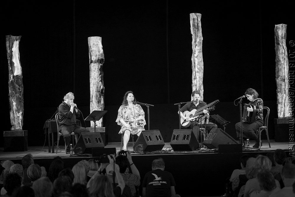 20180707 schrammelklang @ litschau c2018 www.StephanMussil.at 121 2.2K.jpg