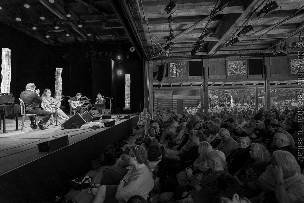 20180707 schrammelklang @ litschau c2018 www.StephanMussil.at 129 2.2K.jpg