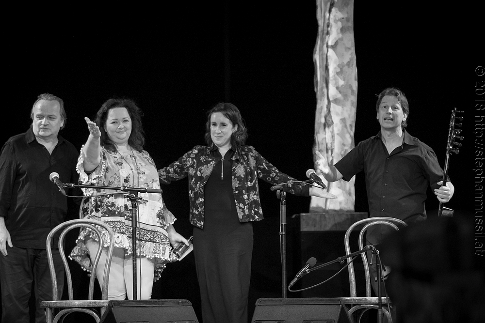 20180707 schrammelklang @ litschau c2018 www.StephanMussil.at 154 2.2K.jpg