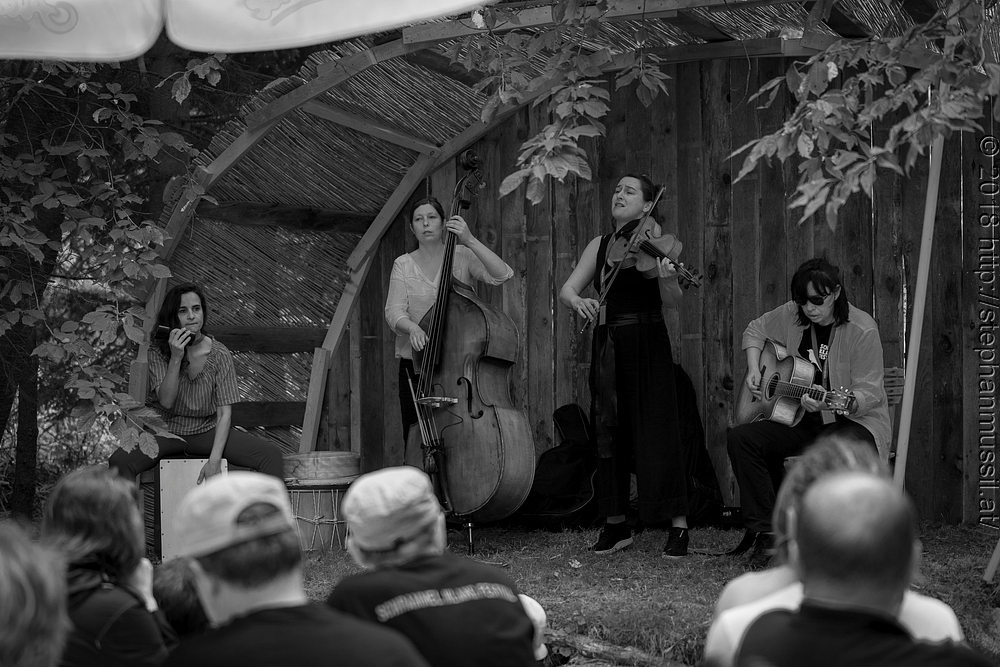20180707 schrammelklang @ litschau c2018 www.StephanMussil.at 173 2.2K.jpg
