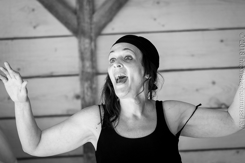 20180707 schrammelklang @ litschau c2018 www.StephanMussil.at 193 2.2K.jpg