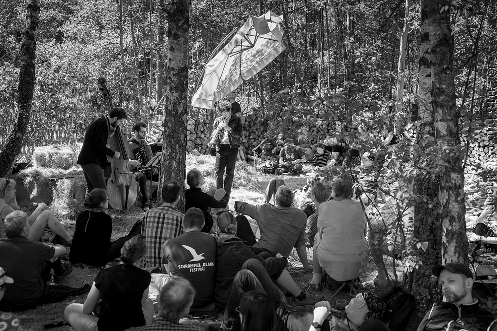 20180707 schrammelklang @ litschau c2018 www.StephanMussil.at 206 2.2K.jpg