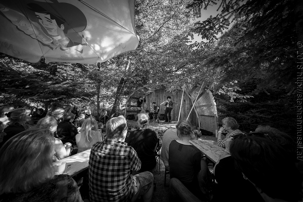 20180707 schrammelklang @ litschau c2018 www.StephanMussil.at 220 2.2K.jpg