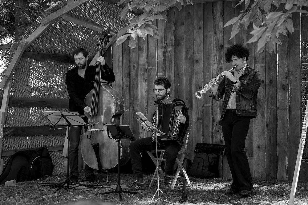 20180707 schrammelklang @ litschau c2018 www.StephanMussil.at 221 2.2K.jpg