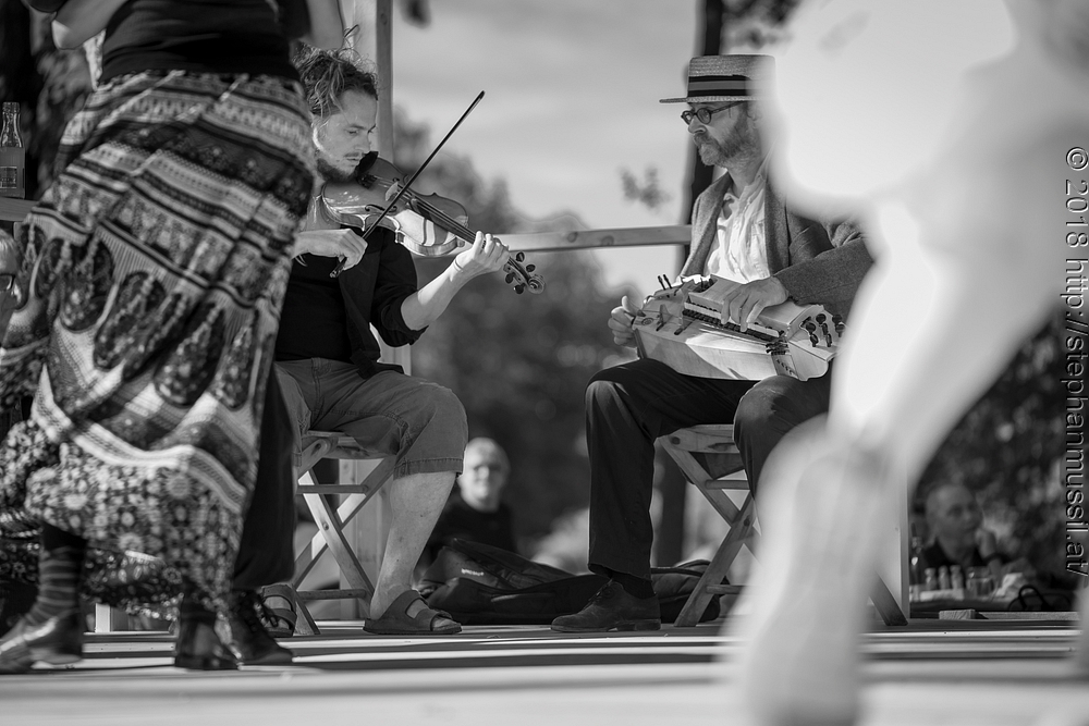 20180707 schrammelklang @ litschau c2018 www.StephanMussil.at 235 2.2K.jpg