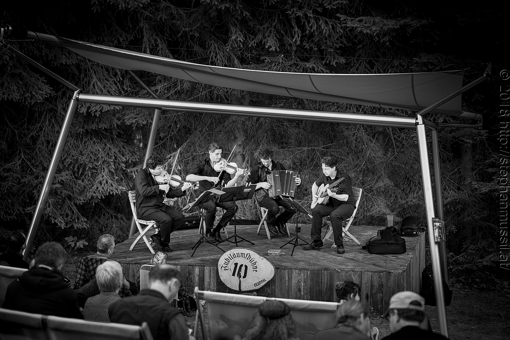 20180707 schrammelklang @ litschau c2018 www.StephanMussil.at 269 2.2K.jpg