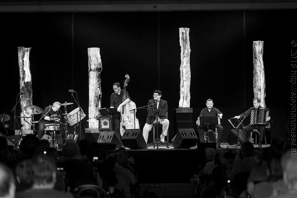 20180707 schrammelklang @ litschau c2018 www.StephanMussil.at 272 2.2K.jpg