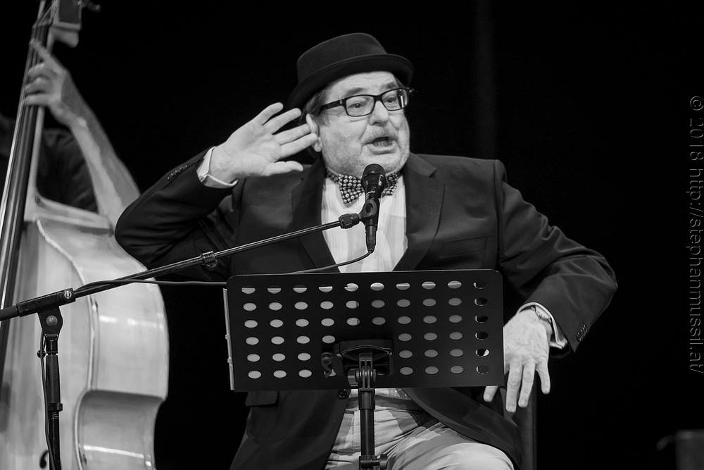20180707 schrammelklang @ litschau c2018 www.StephanMussil.at 276 2.2K.jpg