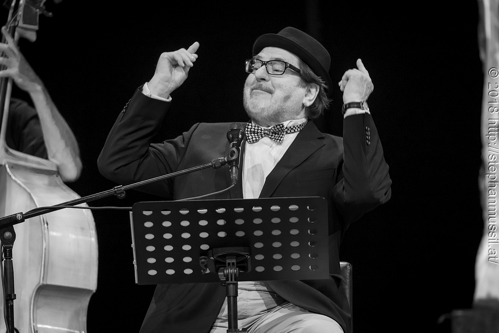20180707 schrammelklang @ litschau c2018 www.StephanMussil.at 278 2.2K.jpg