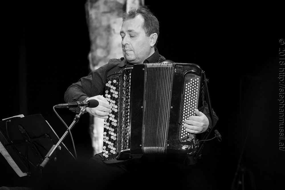 20180707 schrammelklang @ litschau c2018 www.StephanMussil.at 279 2.2K.jpg