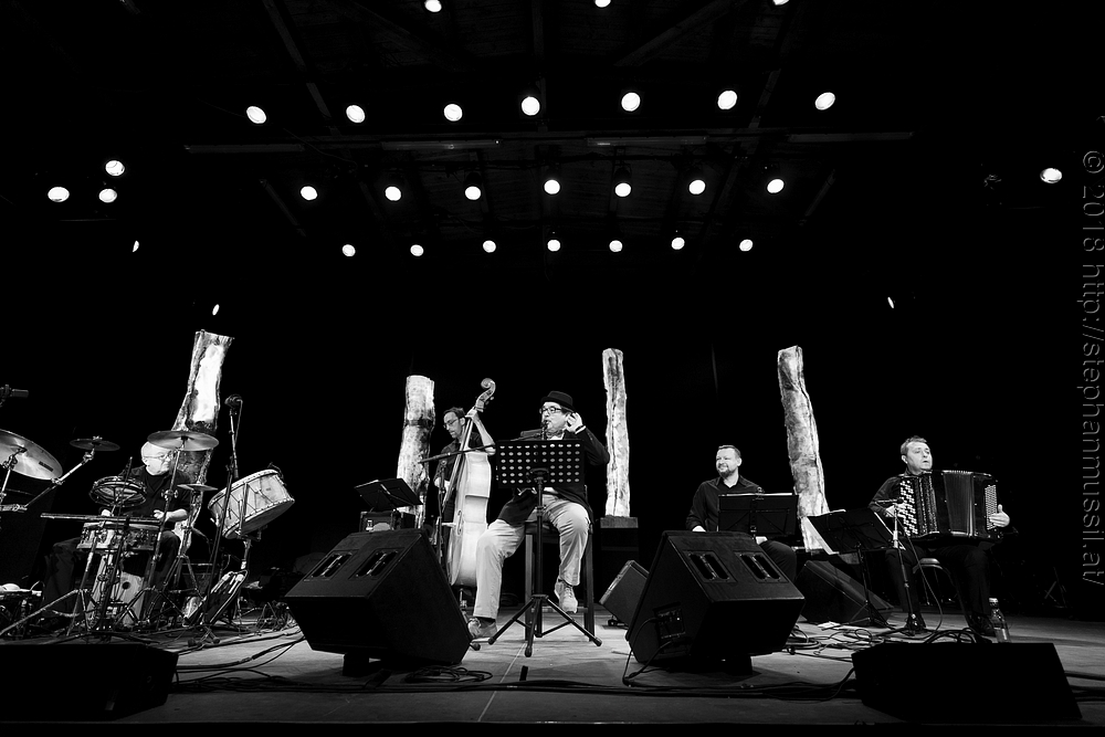 20180707 schrammelklang @ litschau c2018 www.StephanMussil.at 283 2.2K.jpg