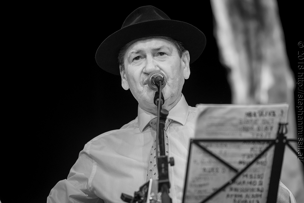 20180707 schrammelklang @ litschau c2018 www.StephanMussil.at 295 2.2K.jpg
