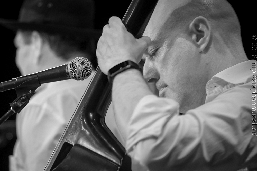 20180707 schrammelklang @ litschau c2018 www.StephanMussil.at 299 2.2K.jpg
