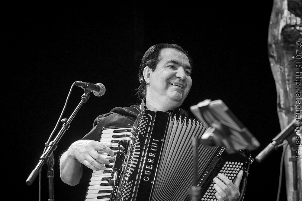 20180707 schrammelklang @ litschau c2018 www.StephanMussil.at 306 2.2K.jpg
