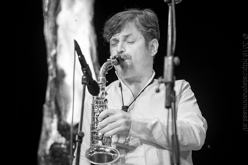 20180707 schrammelklang @ litschau c2018 www.StephanMussil.at 315 2.2K.jpg