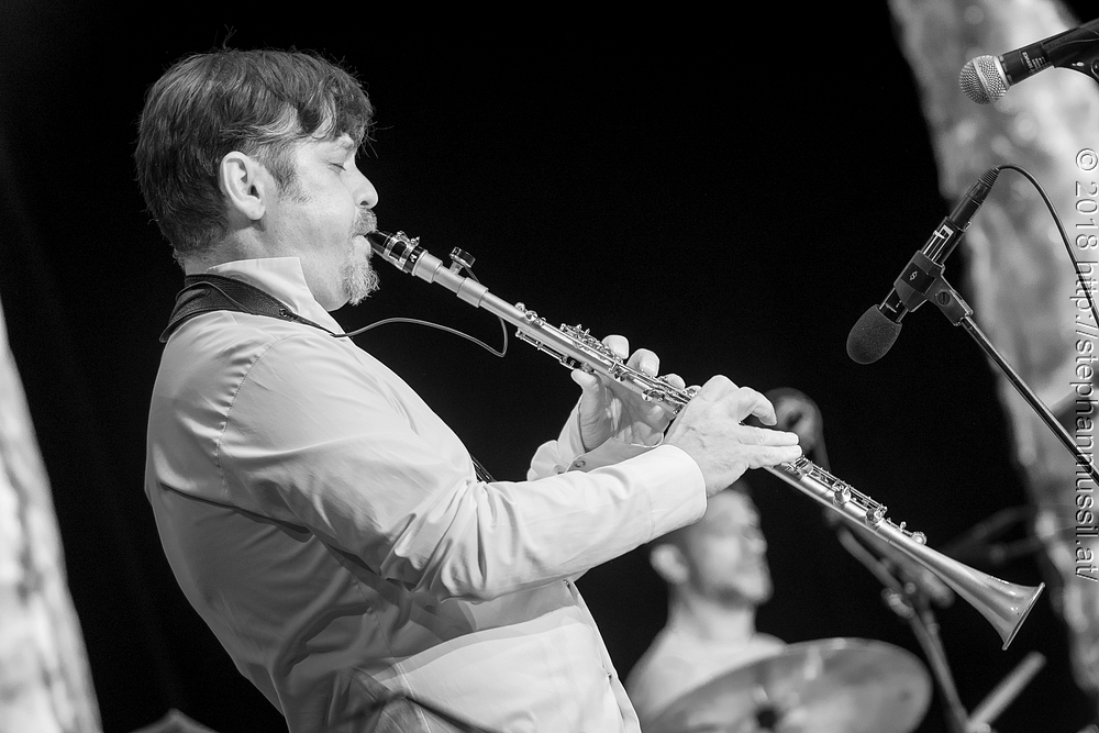 20180707 schrammelklang @ litschau c2018 www.StephanMussil.at 317 2.2K.jpg