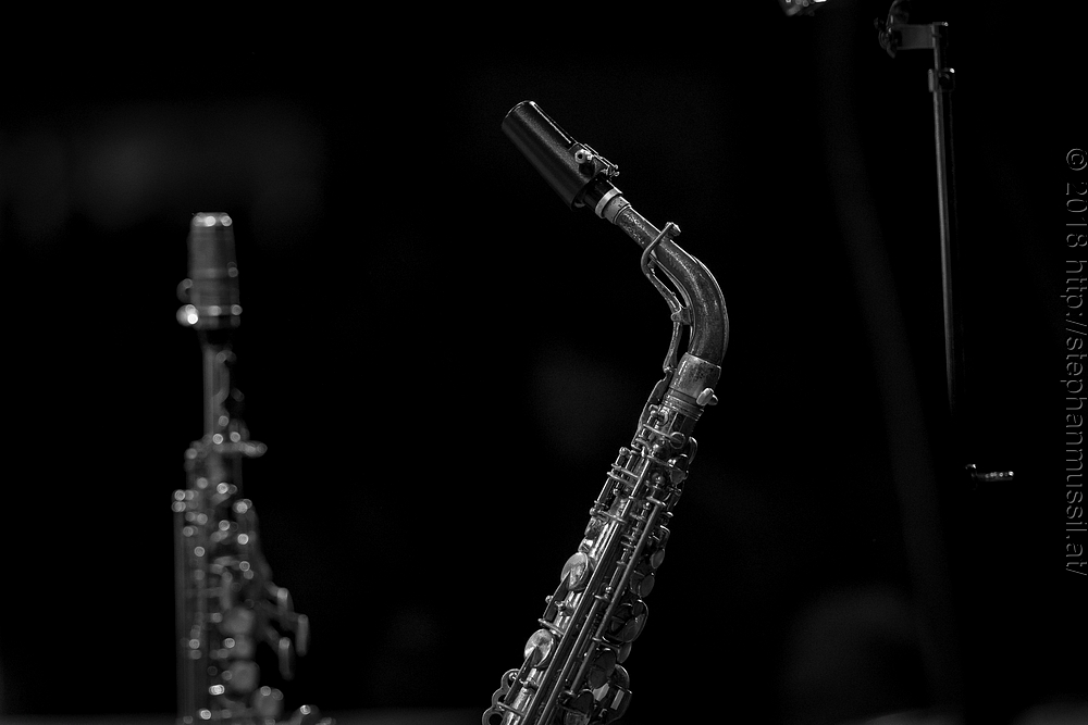 20180707 schrammelklang @ litschau c2018 www.StephanMussil.at 320 2.2K.jpg