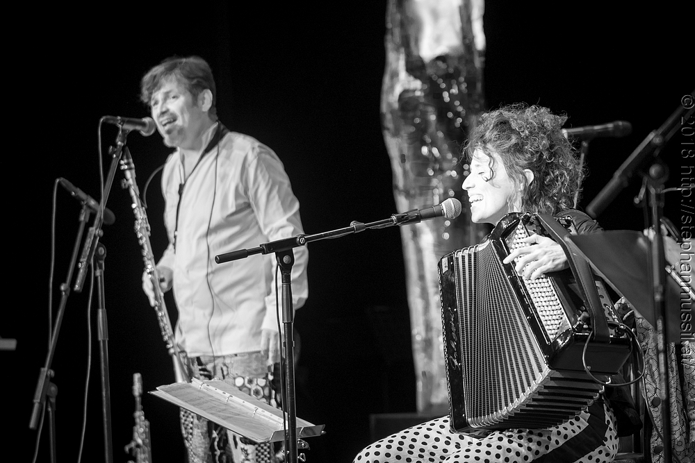 20180707 schrammelklang @ litschau c2018 www.StephanMussil.at 324 2.2K.jpg