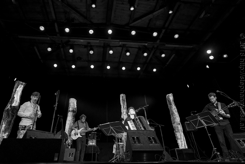 20180707 schrammelklang @ litschau c2018 www.StephanMussil.at 326 2.2K.jpg