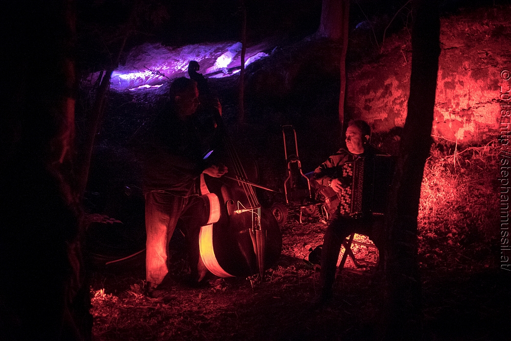 20180708 schrammelklang @ litschau c2018 www.StephanMussil.at 345 2.2K.jpg