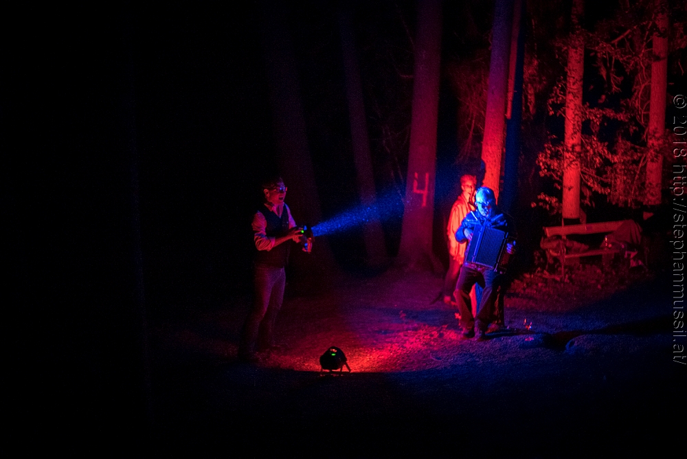 20180708 schrammelklang @ litschau c2018 www.StephanMussil.at 349 2.2K.jpg