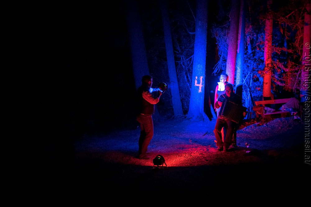 20180708 schrammelklang @ litschau c2018 www.StephanMussil.at 350 2.2K.jpg