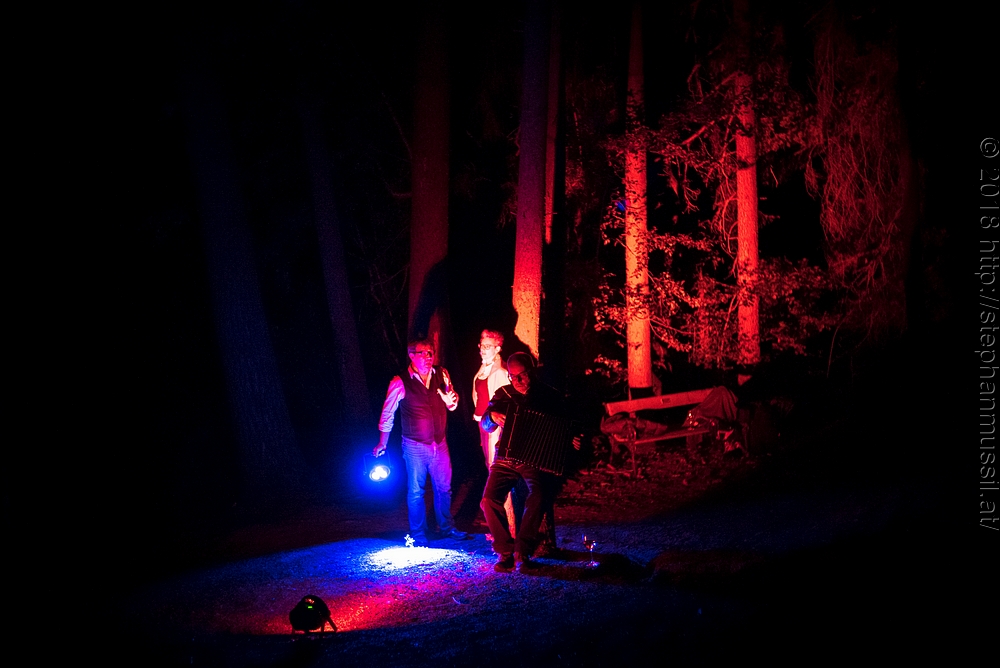 20180708 schrammelklang @ litschau c2018 www.StephanMussil.at 351 2.2K.jpg