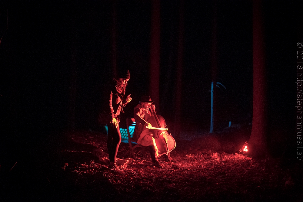 20180708 schrammelklang @ litschau c2018 www.StephanMussil.at 356 2.2K.jpg