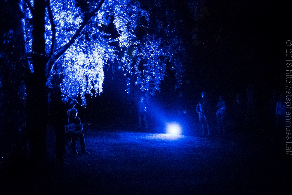 20180708 schrammelklang @ litschau c2018 www.StephanMussil.at 362 2.2K.jpg
